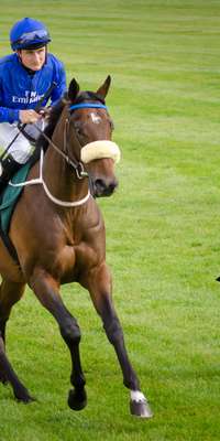 Encke, American-bred British-trained thoroughbred racehorse, dies at age 5